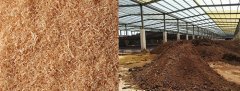 草莓成人APPIOS下载告诉你怎样用木屑发酵成为生物有机肥